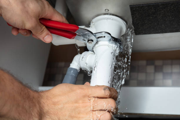 Best Mold removal after water damage  in Enfield, NC