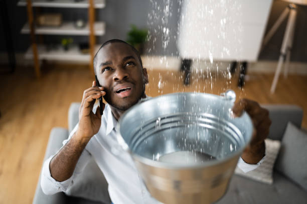 Best Ceiling water damage repair  in Enfield, NC