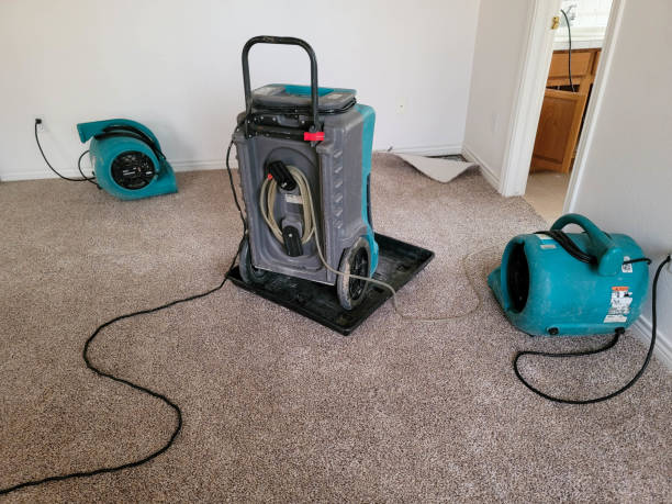  Enfield, NC Water damage restoration Pros