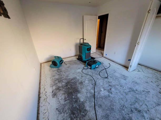 Best Commercial water damage restoration  in Enfield, NC