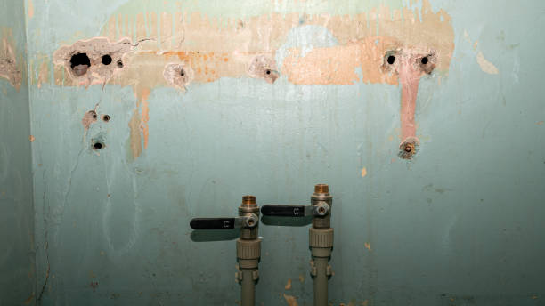 Best Flood damage cleanup  in Enfield, NC