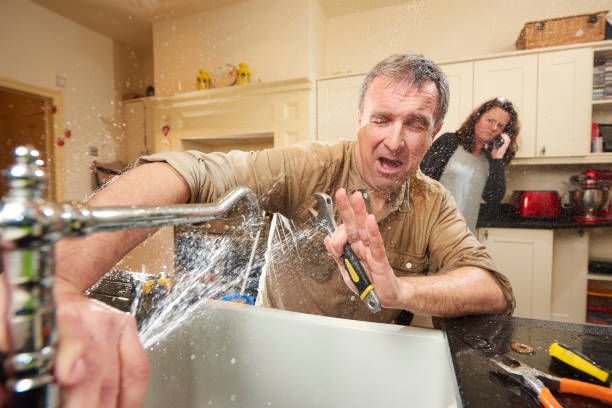 Best Flood restoration services  in Enfield, NC